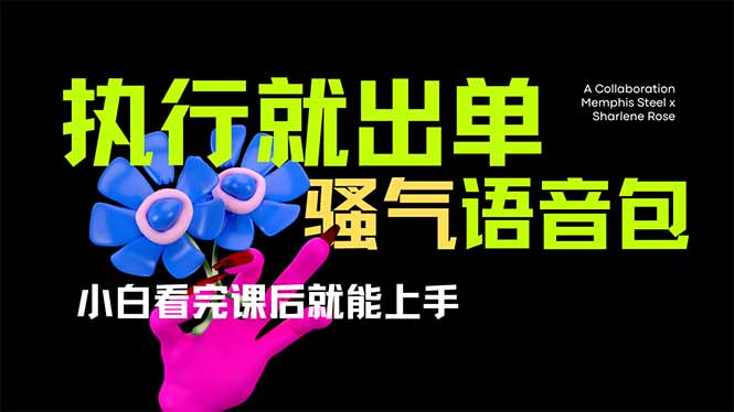 爆火全网的开车导航骚气语音包,只要执行就出单,小白看完课程就能实操…