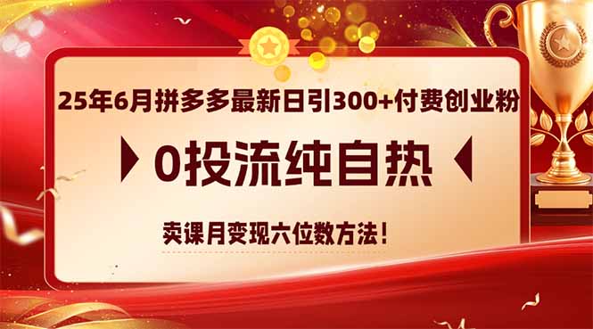 25年6月拼多多最新日引300+付费创业粉,0投流纯自热 卖课月变现六位数方法