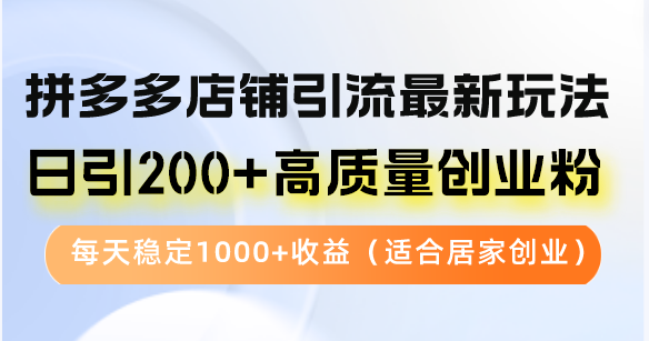 拼多多店铺引流最新玩法,日引200+高质量创业粉,每天稳定1000+收益(...