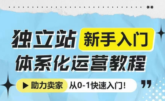 独立站新手入门体系化运营教程,助力独立站卖家从0-1快速入门!
