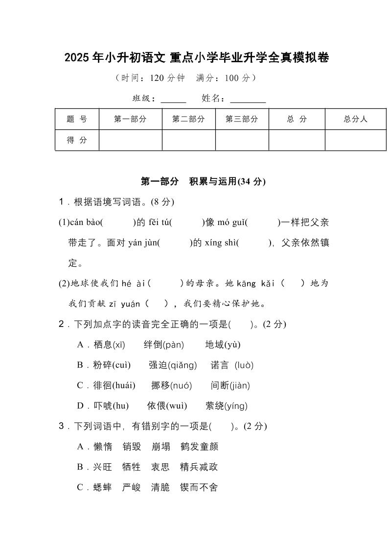 2025年小升初语文重点小学毕业升学全真模拟卷（一）13页