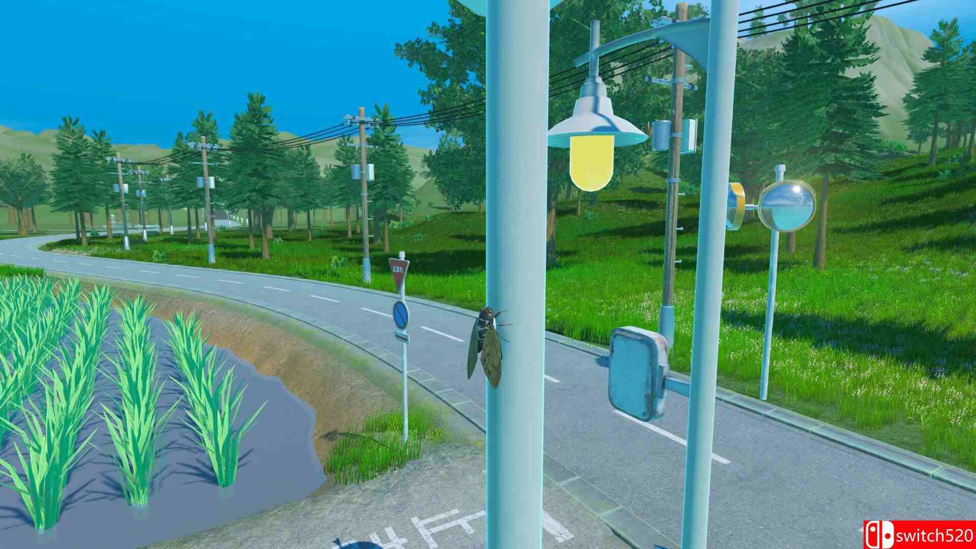 《蝉之生存（CICADA）》官方中文 [中文/英文/日语]