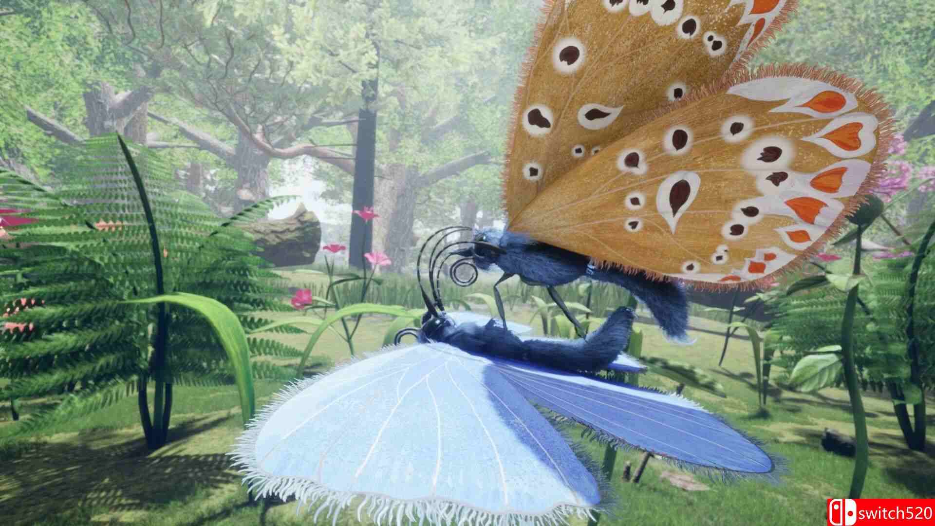 《自然与生命：沉醉于花蜜（Nature And Life Drunk On Nectar）》v1.0.4.5.1 [英文]