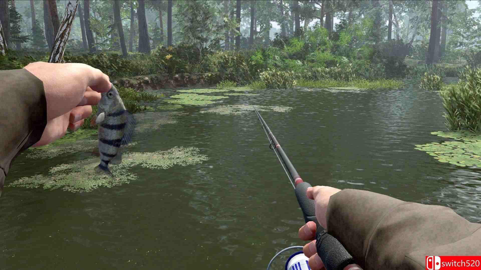 《职业钓鱼2（Professional Fishing 2）》官方中文 [中文/英文/日语]