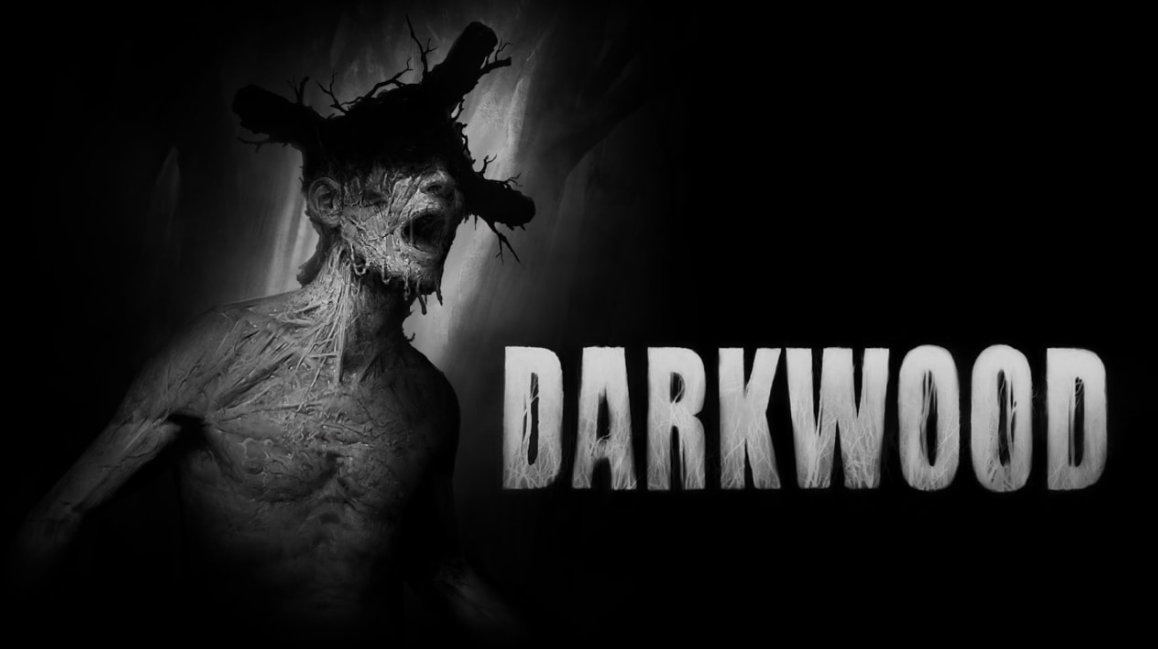 《阴暗森林 Darkwood》Switch中文版NSP下载