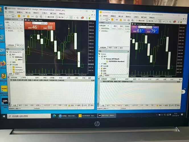 美金对冲创业项目，日收益1000-3000，小众暴力项目稳定运行8年