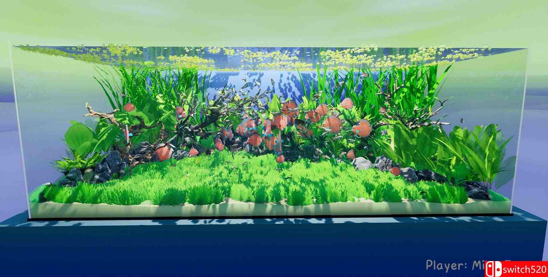 《养鱼模拟器（Fish Game）》集成贝塔鱼套装1 DLC [英文]