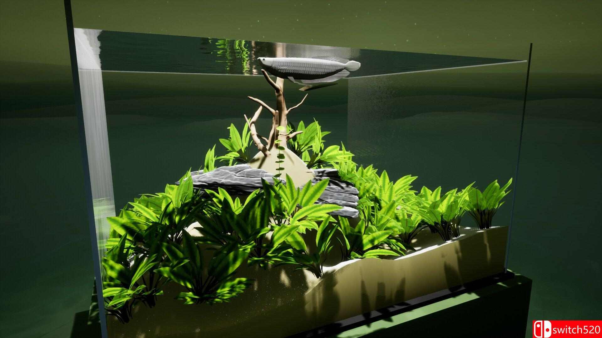 《养鱼模拟器（Fish Game）》集成贝塔鱼套装1 DLC [英文]