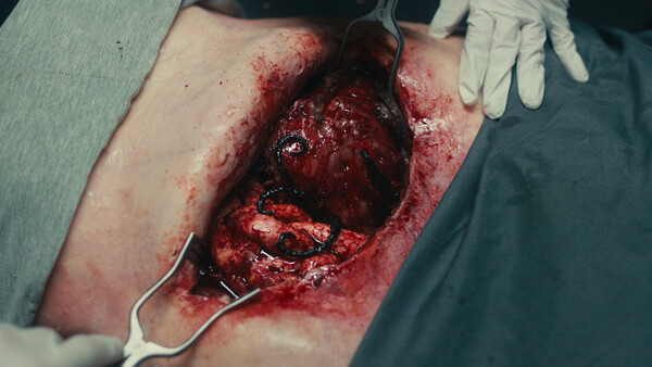 《死亡重启/Dead Reset》PC中文版下载-含v1.0.4