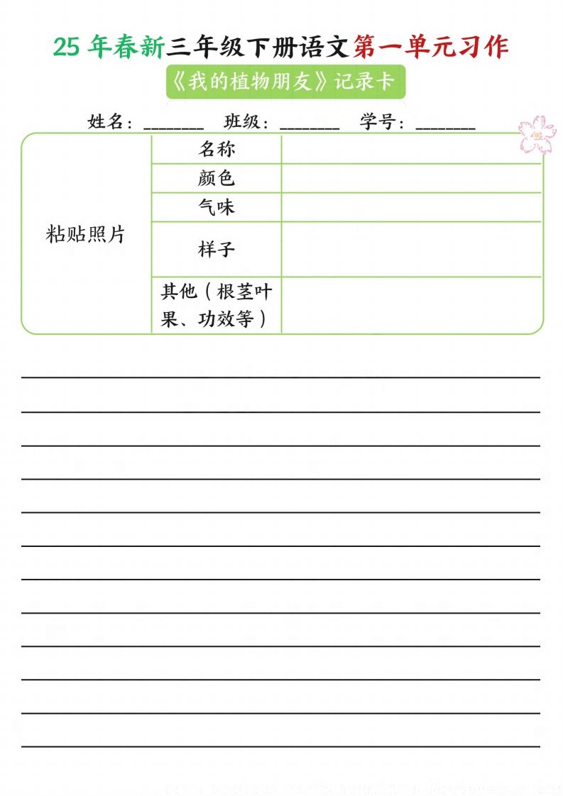 【习作】25年春新三下语文第一单元习作（观察单）16页