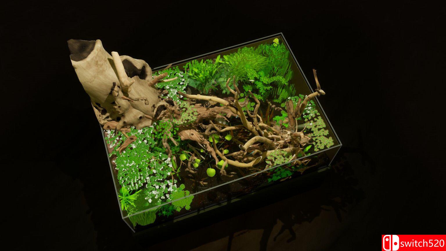 《养鱼模拟器（Fish Game）》集成贝塔鱼套装1 DLC [英文]