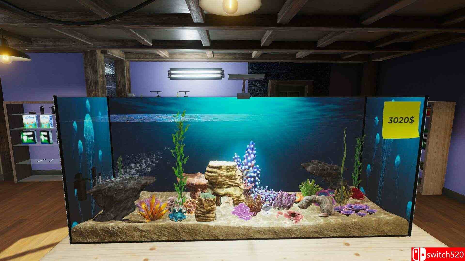 《水族馆（Aquarist）》官方中文 集成美洲鱼DLC [中文/繁体/英文/日语]