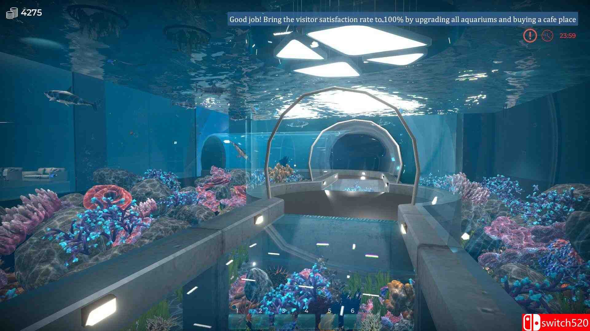 《水族馆（Aquarist）》官方中文 集成美洲鱼DLC [中文/繁体/英文/日语]