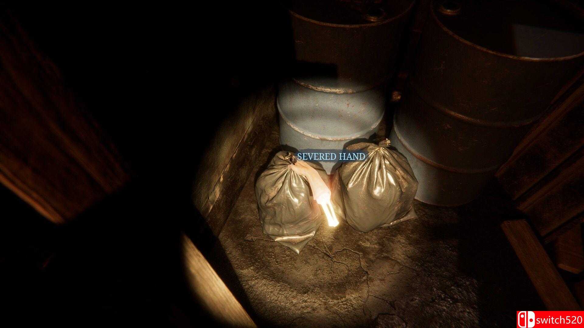 《这是约翰的房子（It’s John’s House）》官方中文 [中文/英文/日语]