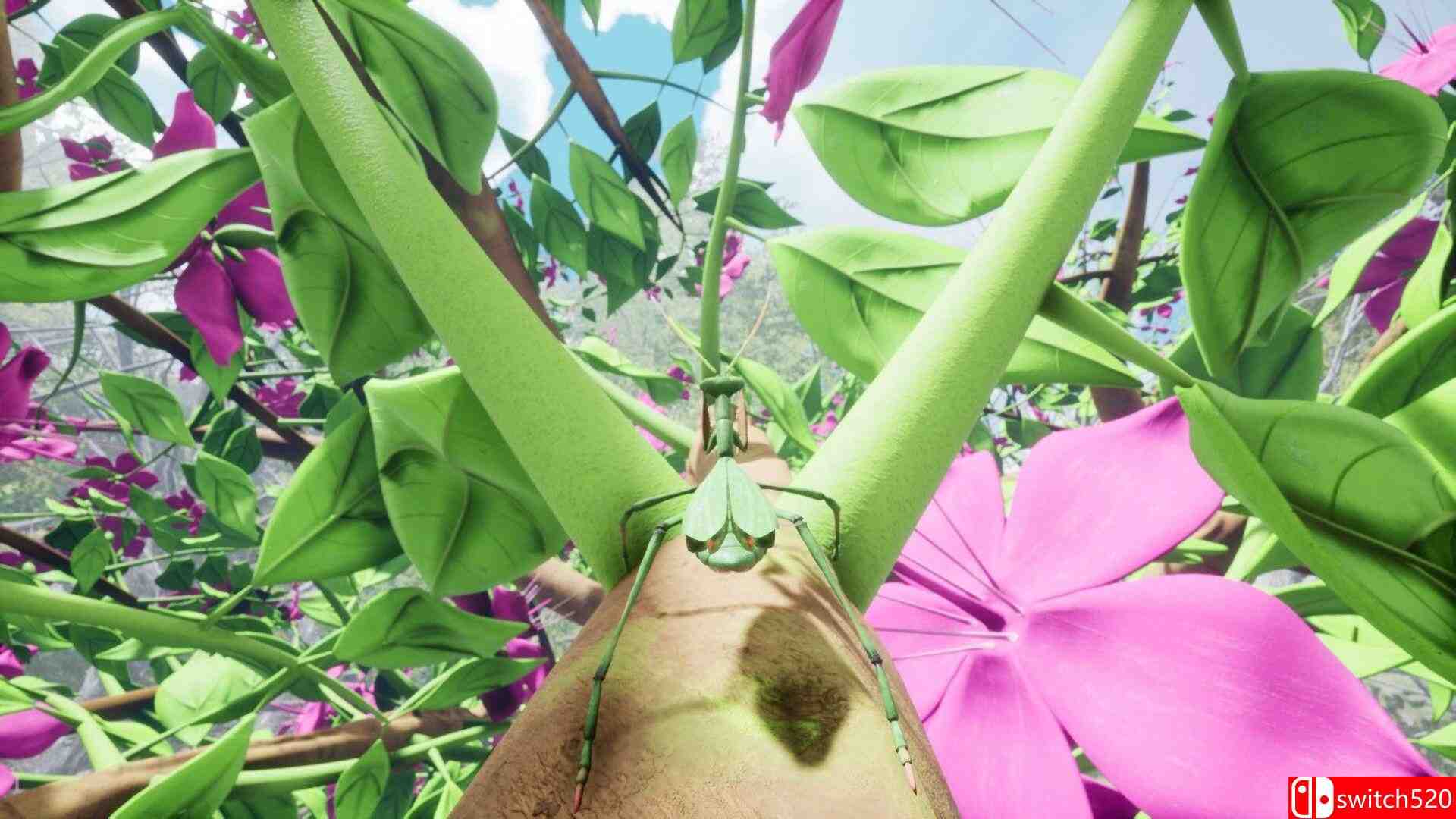 《自然与生命：沉醉于花蜜（Nature And Life Drunk On Nectar）》v1.0.4.5.1 [英文]