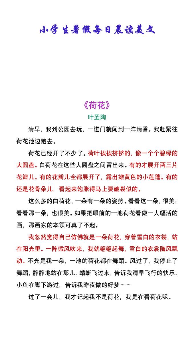 小学生暑假每日晨读美文：叶圣陶《荷花》-小升初语文