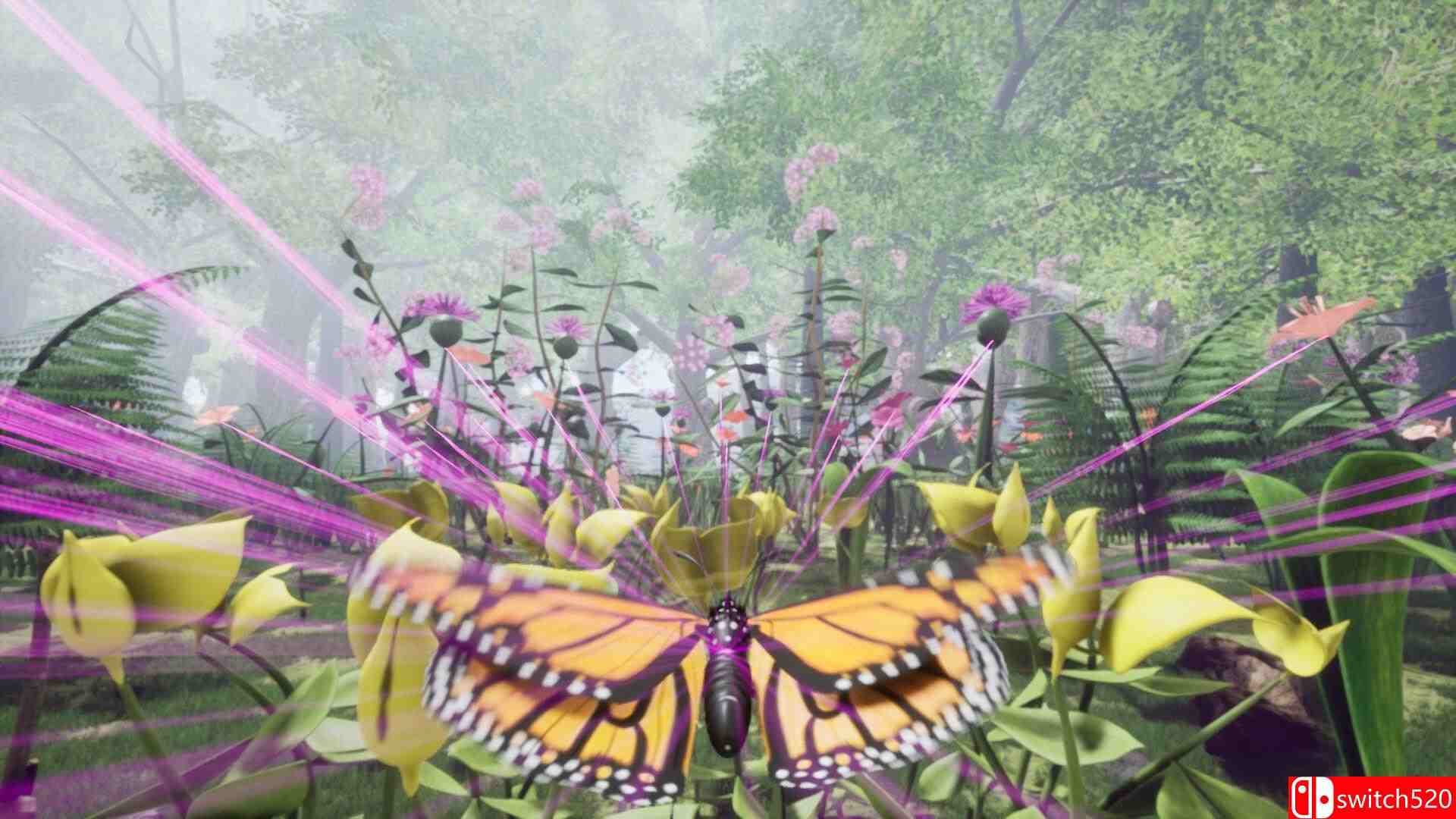 《自然与生命：沉醉于花蜜（Nature And Life Drunk On Nectar）》v1.0.4.5.1 [英文]