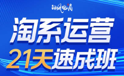 白凤电商·淘系运营21天速成班(更新8月)