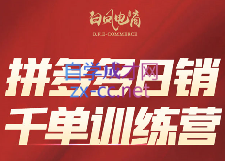 白凤电商·拼多多日销千单训练营(更新4月)
