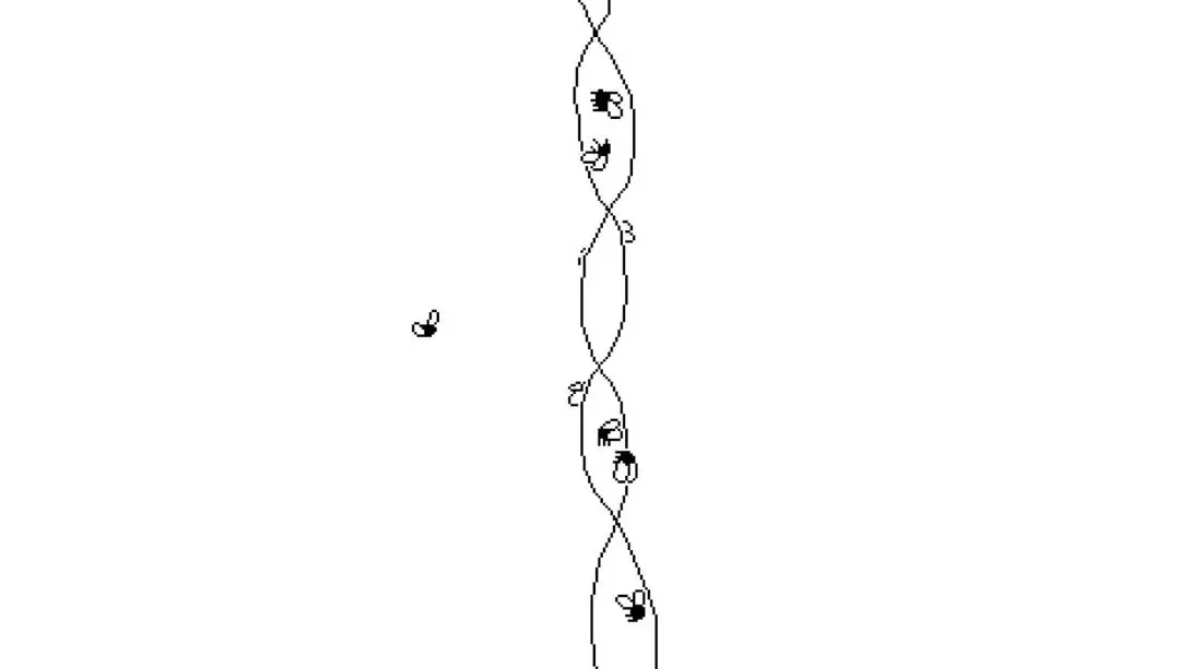 【美版】逝者如斯蝇 .Time Flies 中文