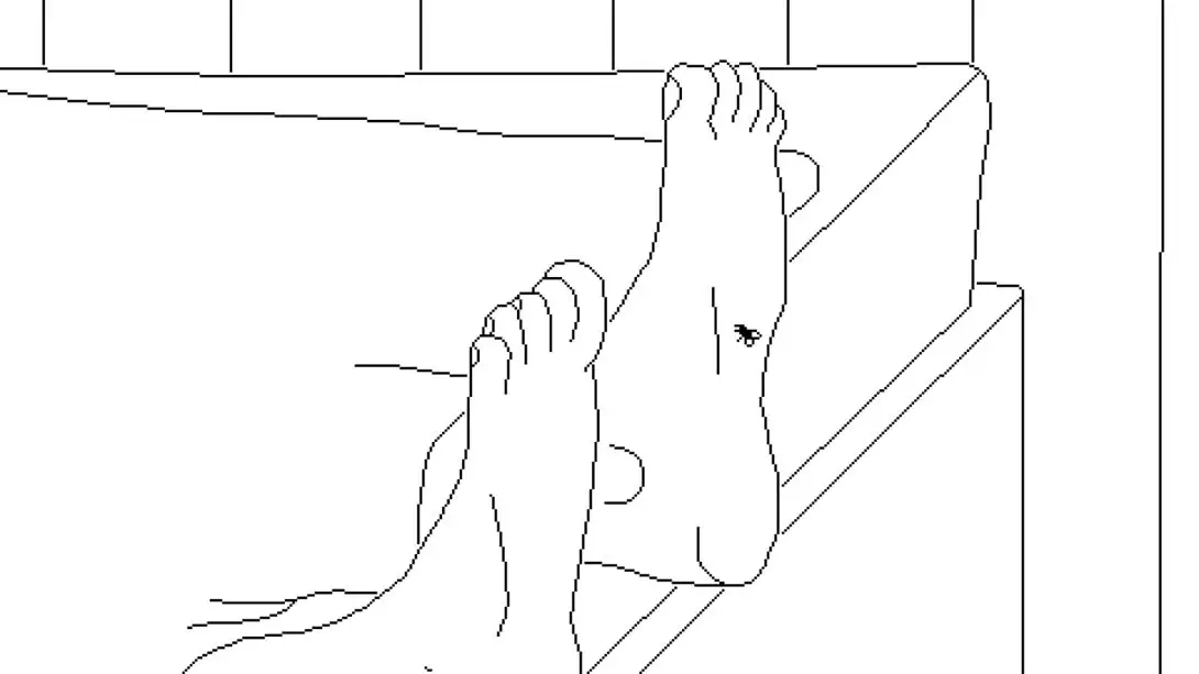 【美版】逝者如斯蝇 .Time Flies 中文