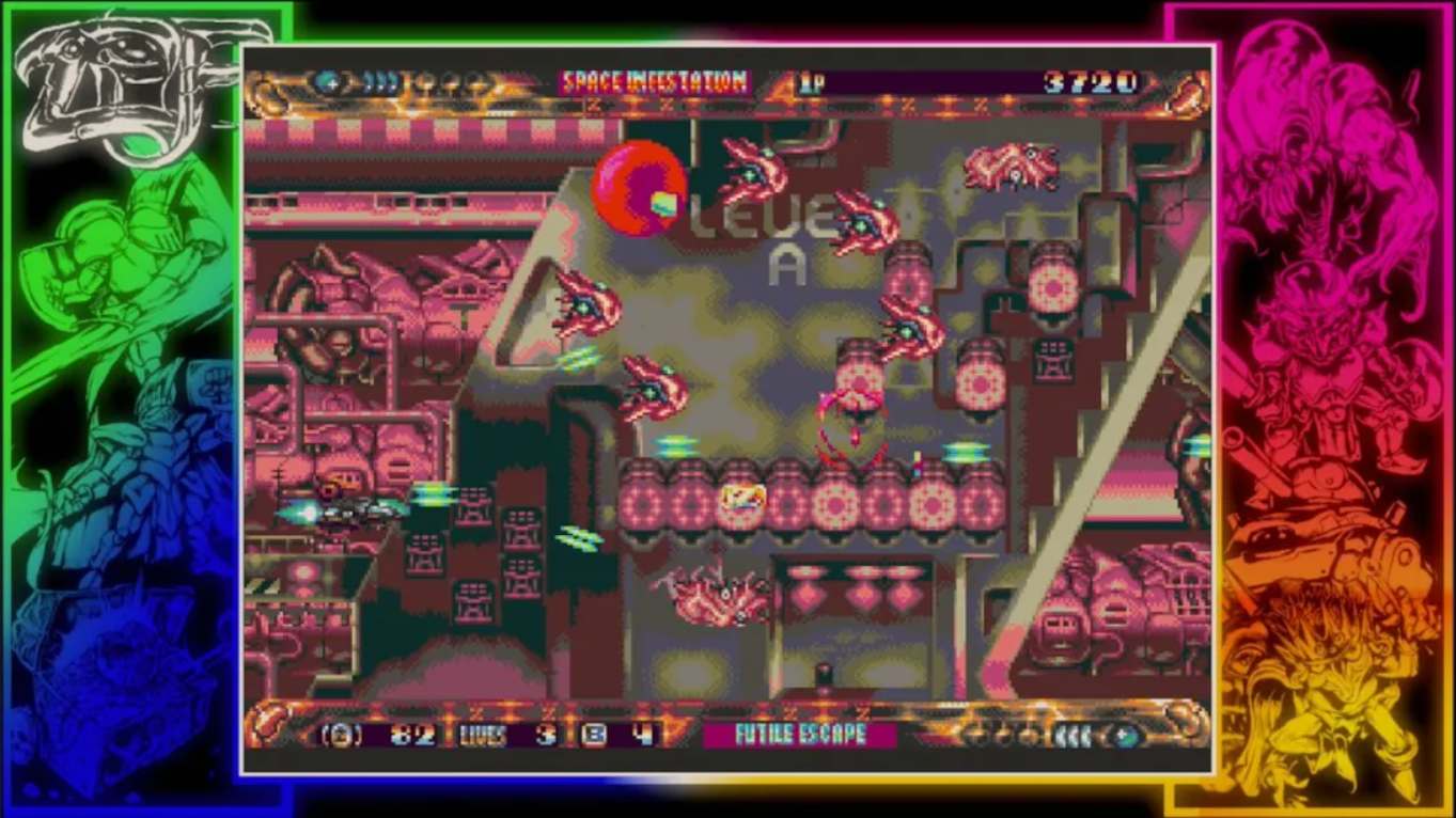 【美版】ZPF 英语