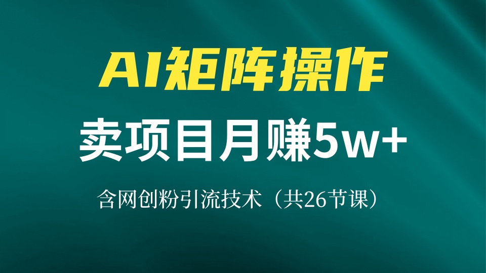 网创IP打造课,借助AI卖项目月赚5万+,含引流技术(共26节课
