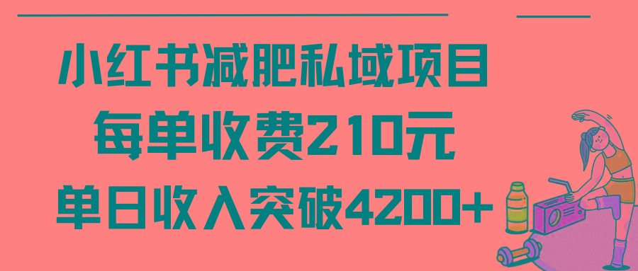 (9466期)小红书减肥私域项目每单收费210元单日成交20单,最高日入4200+
