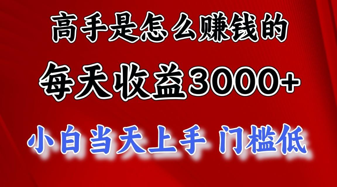 高手是怎么赚钱的,一天收益3000+,闷声发财项目,不是一般人能看懂的