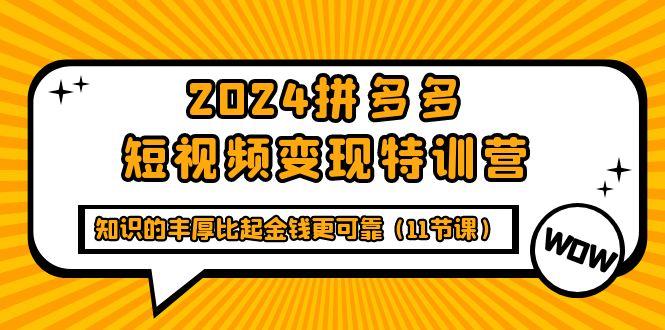 (9817期)2024拼多多短视频变现特训营,知识的丰厚比起金钱更可靠(11节课)