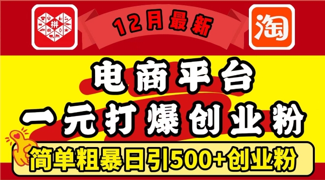 12月最新:电商平台1元打爆创业粉,简单粗暴日引500+精准创业粉,轻松月入过W【揭秘】