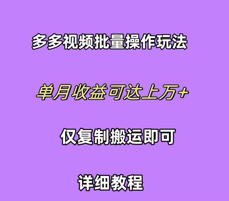 (10029期)拼多多视频带货快速过爆款选品教程 每天轻轻松松赚取三位数佣金 小白必...