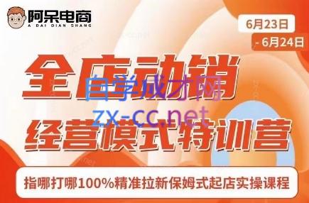 阿呆电商·全店动销经营模式特训营(线下录音+思维导图)