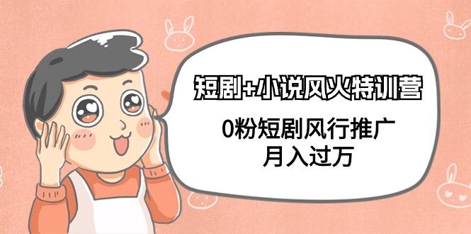 (9374期)短剧+小说风火特训营,0粉短剧风行推广,月入过万(102节课)