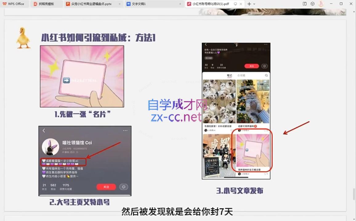 小马哥·全渠道运营增长课