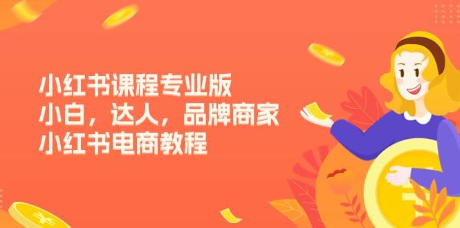 小红书课程专业版,小白,达人,品牌商家,小红书电商教程(15节