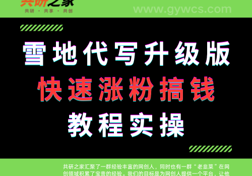雪地代写升级版来袭!🚀快速涨粉搞钱秘方大公开!