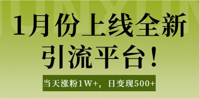 1月上线全新引流平台,当天涨粉1W+,日变现500+工具无脑涨粉,解放双手操作简单