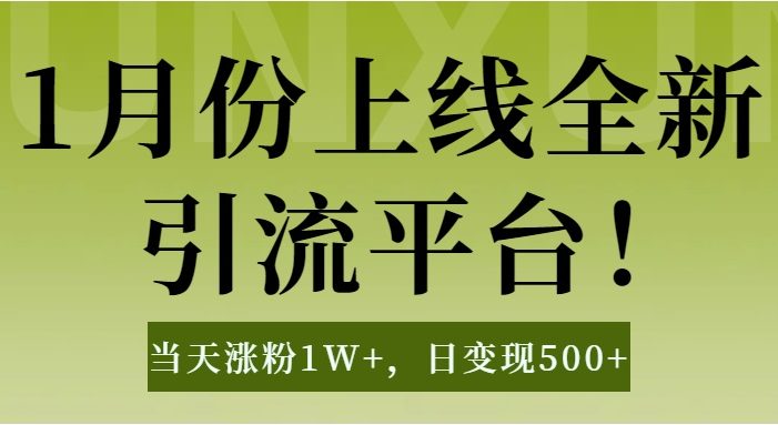 1月上线全新引流平台,当天涨粉1W+,日变现500+工具无脑涨粉,解放双手操作简单