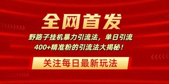 全网首发,野路子挂机暴力引流法,单日引流400+精准粉的引流法大揭秘!