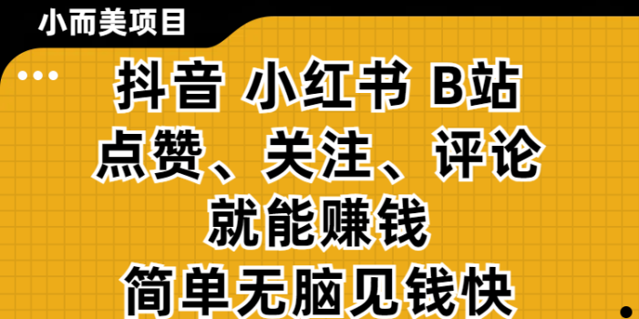 小而美的项目,抖音、小红书、B站视频点赞、关注、评论就能赚钱,简单无脑立见收益!妥妥的零撸项目