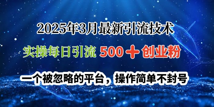 2025年3月最新引流技术,实操每日引流500➕创业粉,一个被忽略的平台,操作简单不封号
