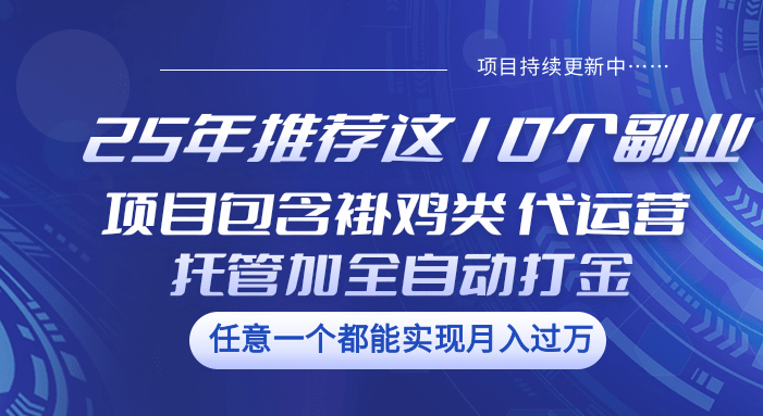 25年推荐这10个副业 项目包含褂鸡类、代运营托管类、全自动打金类