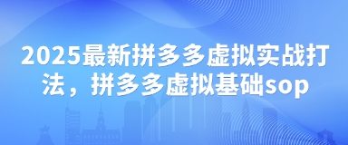 2025最新拼多多虚拟实战打法,拼多多虚拟基础sop