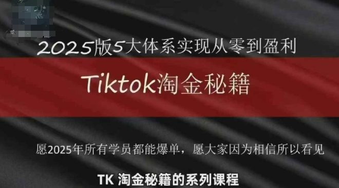 TikTok跨境2025淘金秘籍,2025TikTok从0到盈利变现