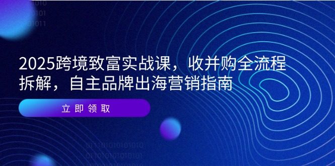 2025跨境致富实战课,收并购全流程拆解,自主品牌出海营销指南