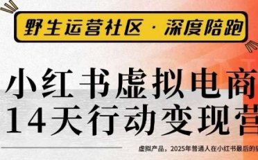 小红书虚拟电商14天变现训练营3.0,虚拟产品,2025年普通人在小红书最后的搞钱机会