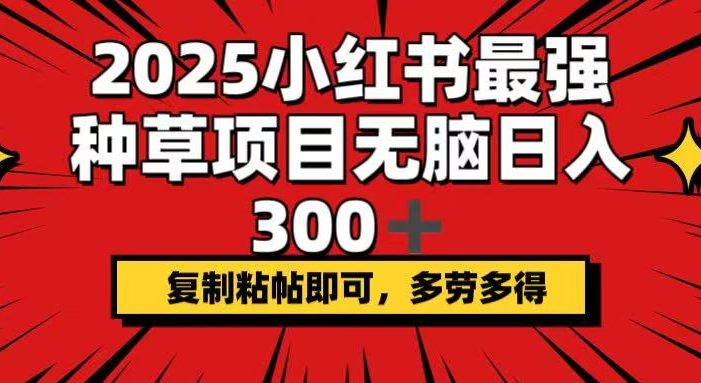 2025小红书最强种草项目,无脑日入300+,复制粘帖即可,多劳多得
