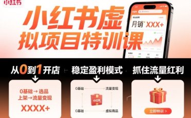 小红书虚拟项目特训课,帮你从0到1打造稳定盈利的店铺,抓住流量红利(更新9月)