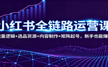 小红书全链路运营课:流量逻辑+选品货源+内容制作+矩阵起号,新手也能赚钱